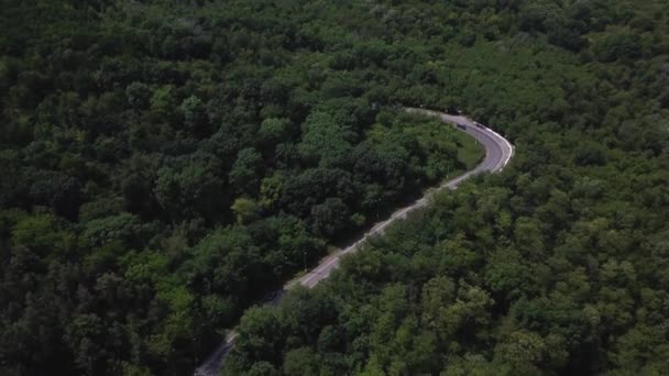 Widok Lotu Ptaka Drogę Lesie Nagranie Drona Krajobraz Naturalny — Wideo stockowe