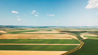 Tarım alanının havadan görünüşü. Tarım arazisinin insansız hava aracı atışı. Mavi gökyüzü ile güneşli yaz günü.