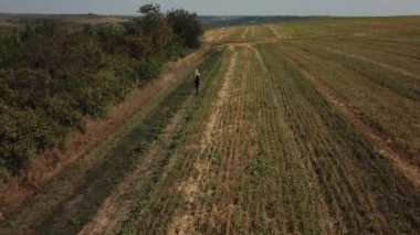Sahada yürüyen sarışın kızın hava manzarası. İnsansız hava aracı görüntüleri.