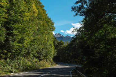 Dağların arkasındaki ormandaki güzel yol manzarası.