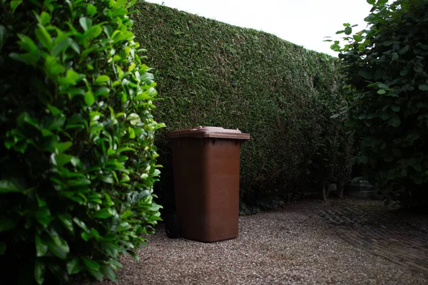 Brown large plastic bin for trash on backyard, around of tree hedge.