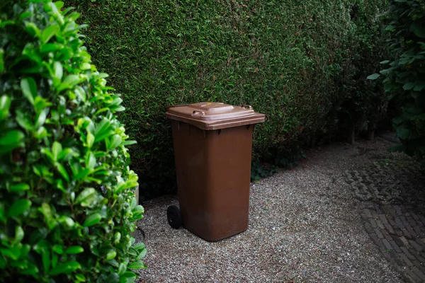 Brown large plastic bin for trash on backyard, around of tree hedge.