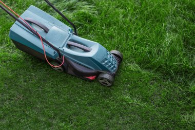 El çim biçme makinesi avludaki yeşil çimleri biçer. Üst görünüm.