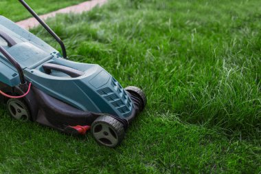 El çim biçme makinesi avludaki yeşil çimleri biçer. Yakın çekim görünümü.