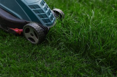 El çim biçme makinesi avludaki yeşil çimleri biçer. Yakın çekim görünümü.