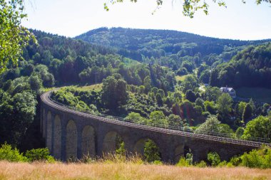 Çek Cumhuriyeti 'nde bir ormanda bulunan tarihi bir demiryolu viyadüğü.