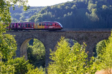Çek Cumhuriyeti 'nde bir ormanda bulunan tarihi bir demiryolu viyadüğü.