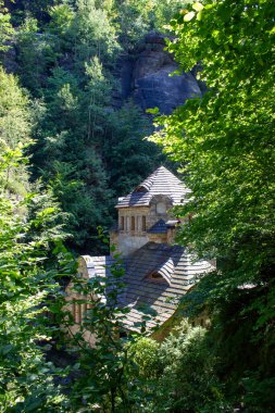 Çek Cumhuriyeti 'ndeki ağaçların arasında yeşil bir ormandaki eski taş ev