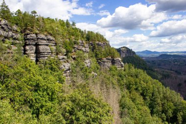 Yüksek bir dağdan yeşil ormanların doğal güzelliğinin nefes kesici bir görüntüsü.