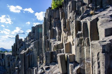 Ağaçların yetiştiği görkemli bazalt dağları. Çek Cumhuriyeti 'nin enginliğinde çubuk şeklinde altıgen taş dağlar