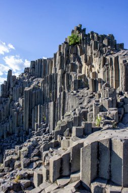 Ağaçların yetiştiği görkemli bazalt dağları. Çek Cumhuriyeti 'nin enginliğinde çubuk şeklinde altıgen taş dağlar
