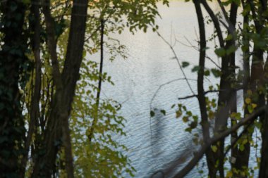 Güzel bir göle görünümünü