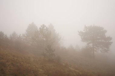 Dağlarda sisli bir sabah.