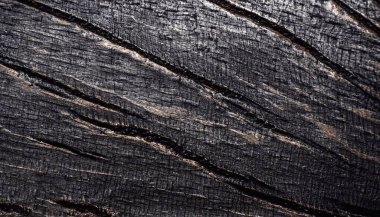 Ahşap dokular. Makro fotoğraf. Siyah doku arka planı. Üst görünüm.