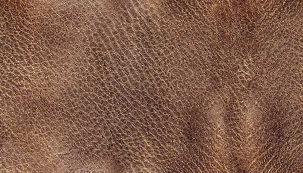 Rough Old Brown Leather Background — Stock Photo, Image