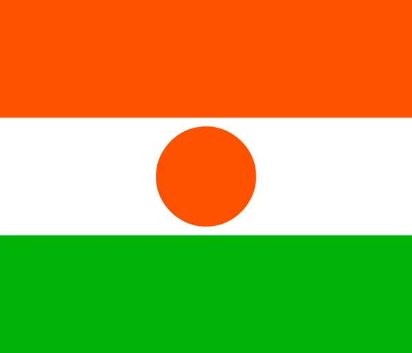 Vector Aislado Bandera República Níger Original Simple Colores Oficiales Proporción — Archivo Imágenes Vectoriales