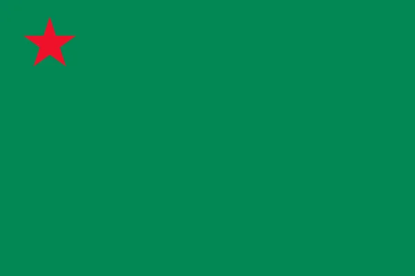 Ikona Vektoru Vlajky Republiky Benin — Stockový vektor
