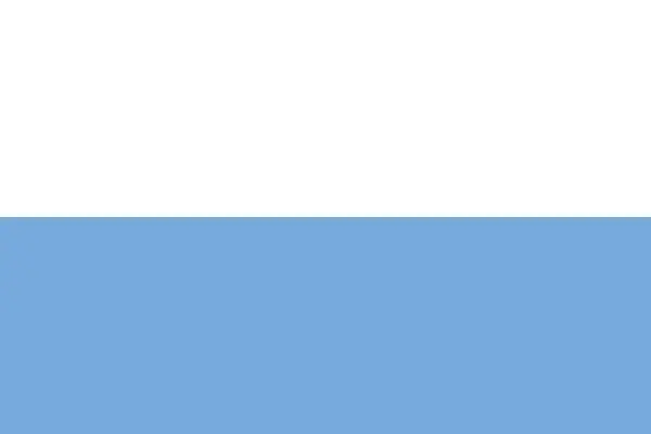 Argentinian Flag Illustration Complete Sun Vector — Stock Vector