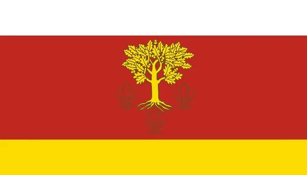 Una Bandiera Della Contea Piotrkiv — Vettoriale Stock