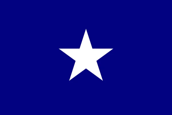 Bonnie Blue Bandera Histórica Estados Confederados América — Vector de stock