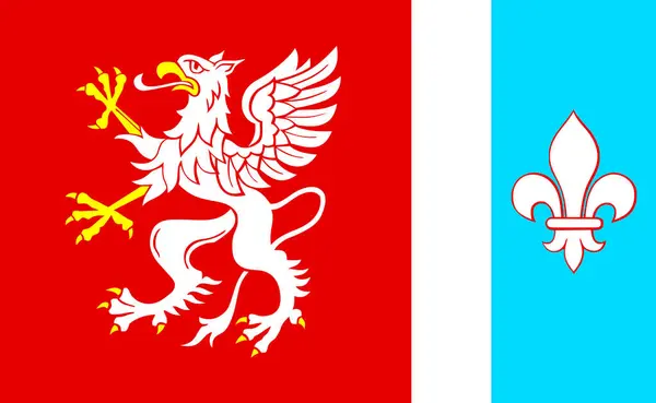 Флаг Дембицкого Района — стоковый вектор