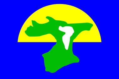 Chatham Adaları bayrak vektör çizimi izole edildi. Pasifik Okyanusu 'nda Yeni Zelanda bölgesi takımadaları.