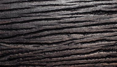 Ahşap dokular. Makro fotoğraf. Siyah doku arka planı. Üst görünüm.