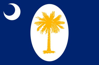 Top view of South Carolina January 1861 , USA flag, no flagpole. Plane design layout Flag background clipart