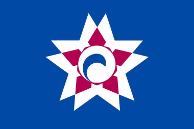 Hakodate şehir bayrağının vektör görüntüsü, Hokkaido vilayeti, Japonya. Orantı 2: 3. EPS10.