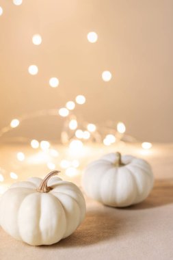 Arka planda güzel peri ışıkları olan iki beyaz balkabağı. Metnin için kopyalama alanı olan sonbahar estetik arka planı. Kutlama konsepti.