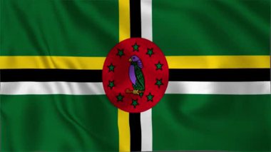 Dominica Waving Flag, Dominica Flag, Dominica Waving Animation, Dominica Flag 4K Video, 3D video, Sosyal medya platformu ve ticari kullanım için klip, Güzel Sanatlar ve Dalgalanan Animasyon