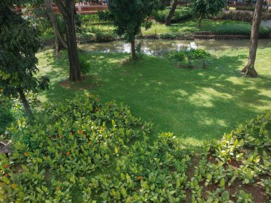 Etrafında bir sürü ağaç ve çiçek olan küçük bir nehir ve geniş bir çim alanı olan bir park.
