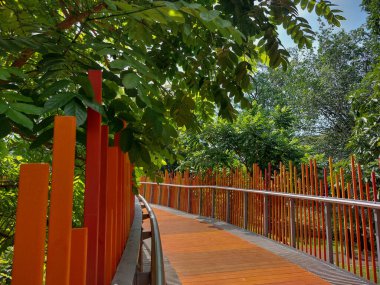 Tahta döşemeli ve demir parmaklıklı bir köprü parktaki ağaçları ayırır.