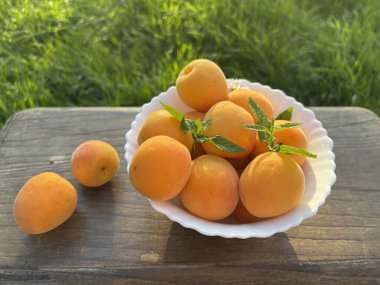 Tabakta taze kayısılar