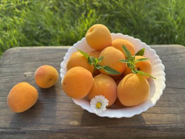 Taze kayısılar kasede.