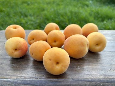 Tahta zeminde taze kayısılar.