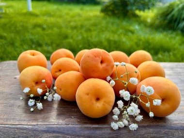 Ağaçta taze şeftali