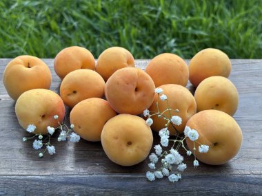 Masada olgun kayısılar var.