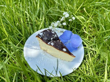 Yeşil çimlerin üzerinde nefis bir cheesecake