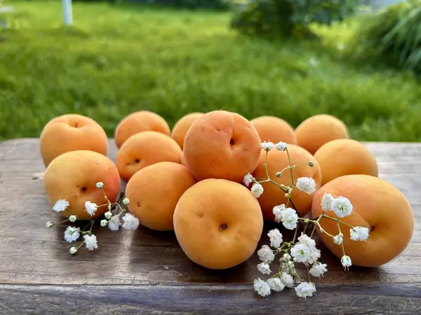 Ağaçta taze şeftali