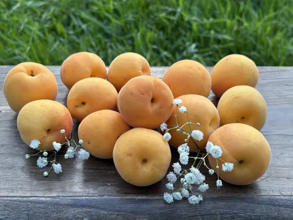 Masada olgun kayısılar var.