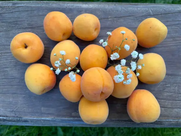 Beyaz bir tabakta olgun kayısılar.