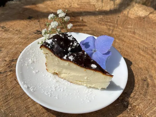beyaz zemin üzerinde yaban mersinli cheesecake