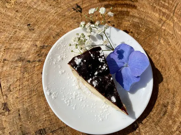 Plaka üzerinde lezzetli peynirli kek