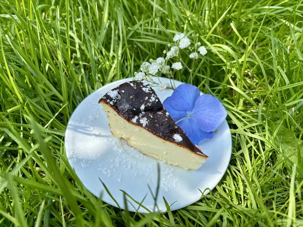 Yeşil çimlerin üzerinde nefis bir cheesecake