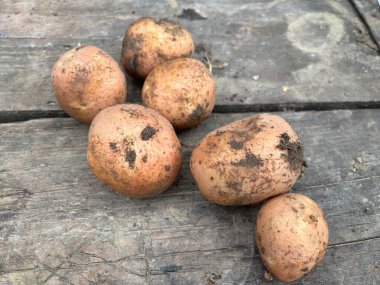 Markette patates, taze patates.