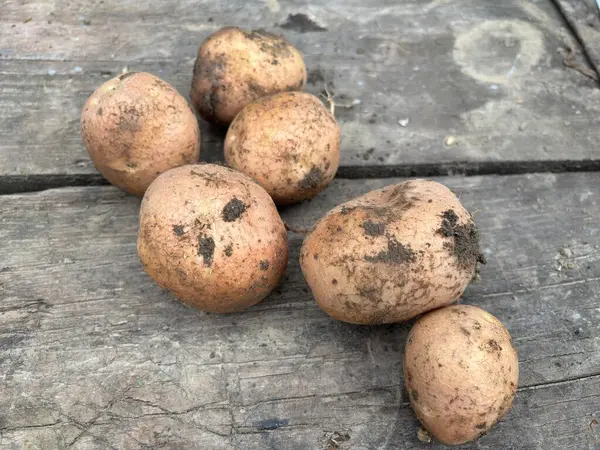 Markette patates, taze patates.