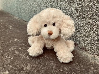 Şehirde köpek var.