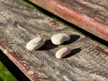 Ahşap arka planda beyaz ve siyah paskalya yumurtaları. Kapat - kapat.