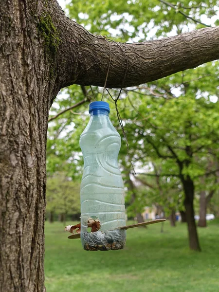 A homemade bird feeder made out of a plastic bottle filled with bird seed and hanging on the tree
